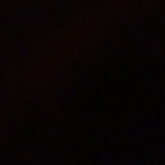 Meet your Posher, Holly - Picture 1 of 1